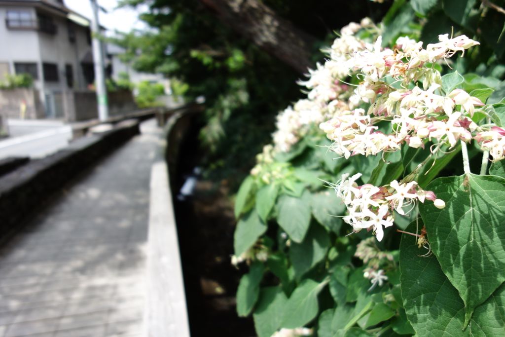 日々流転的備忘録