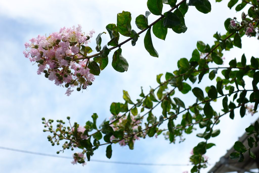 日々流転的備忘録