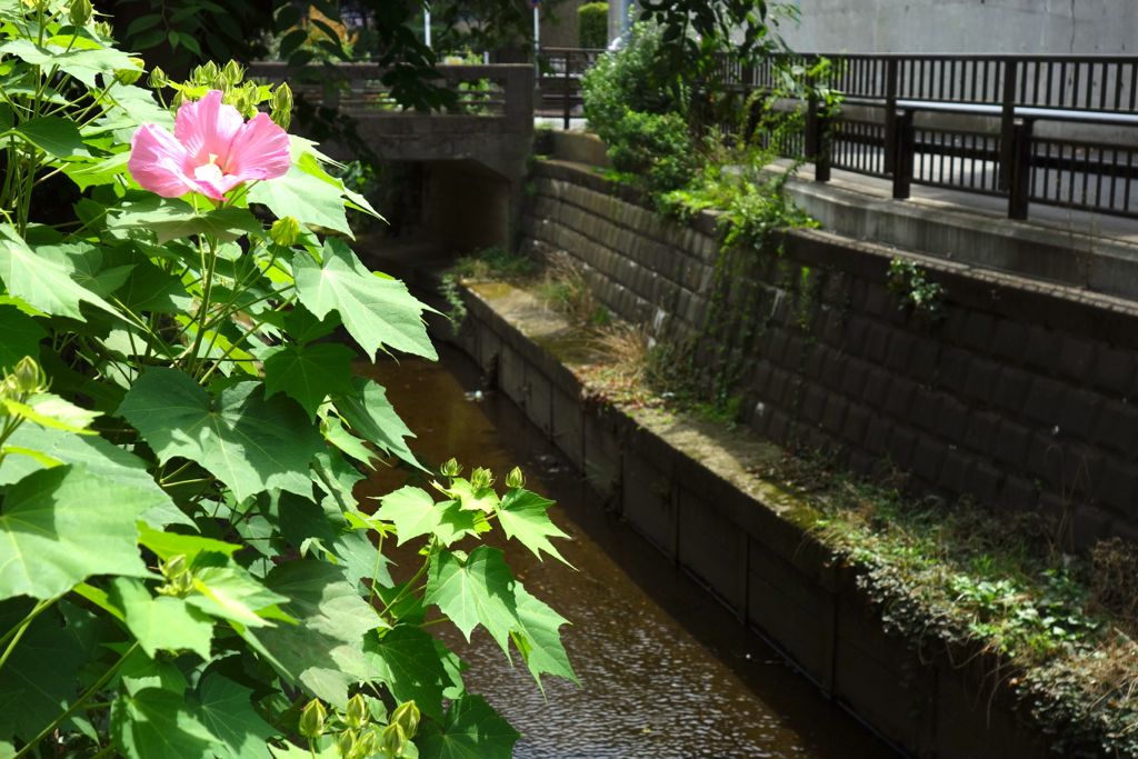 日々流転的備忘録