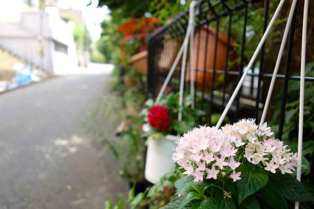 日々流転的備忘録