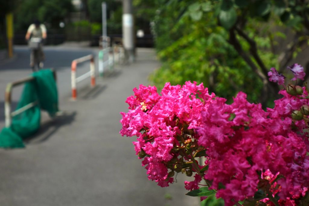 日々流転的備忘録