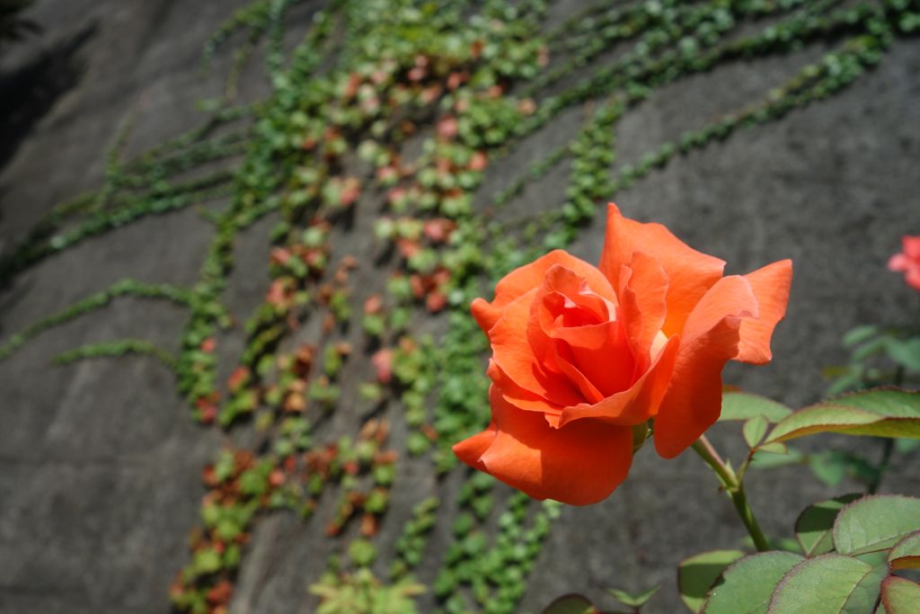 日々流転的備忘録