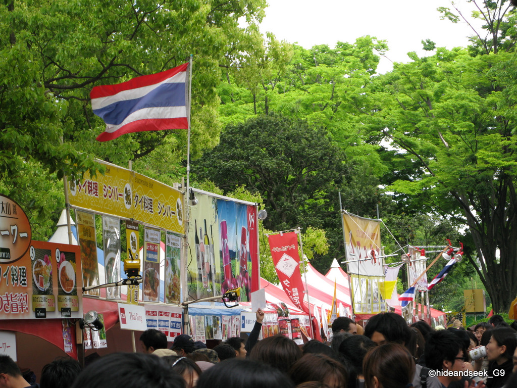 タイフェス2010：薫風に燦然とはためくタイ国旗