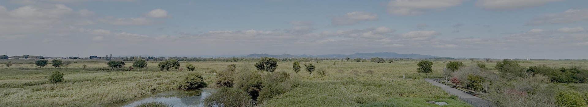 日々流転的備忘.log 日々流転的備忘.log